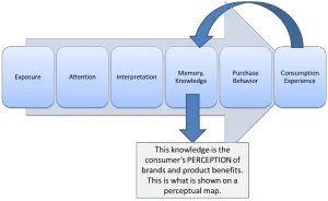 Model of the Perceptual Process